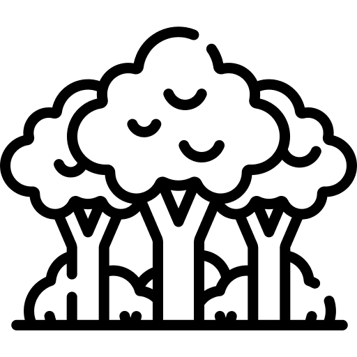 amenity-icon